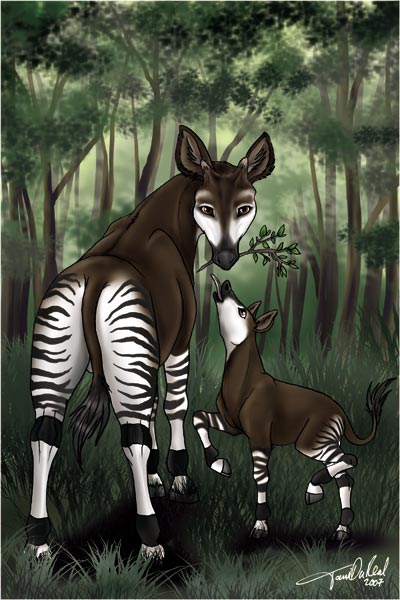 Okapi_totem_card_by_TaniDaReal.jpg