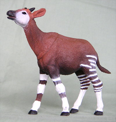 okapi-plastic-f577.jpg