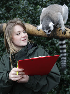 lemur1-300.jpg