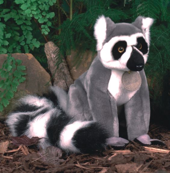 suma_lemur.jpg
